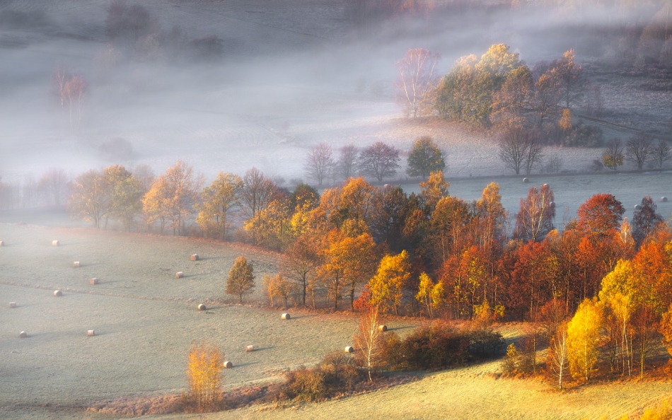 The Poetry of Light.... . Zdjęcie 336664