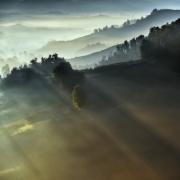 first rays