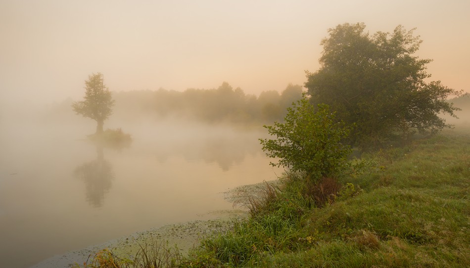 ***. . Zdjęcie 337991