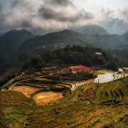 Sapa 