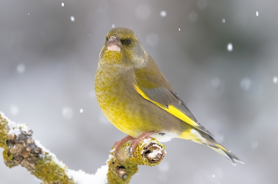 roman53 - . . Zdjęcie 321356