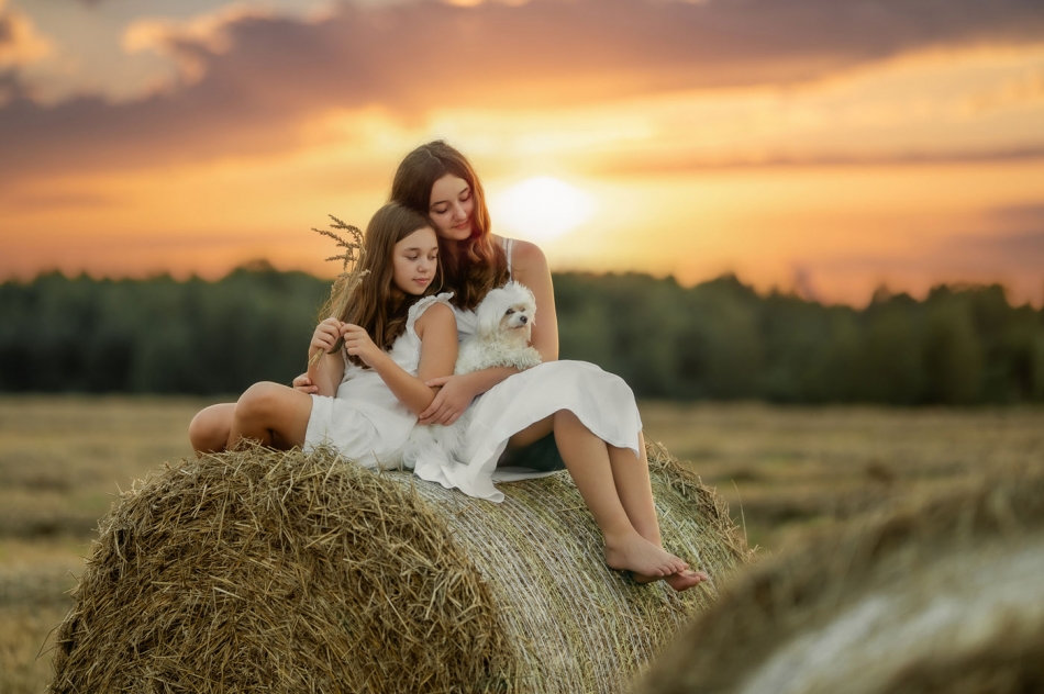 gaco - .... . Zdjęcie 326378