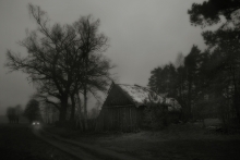 Nocny gość