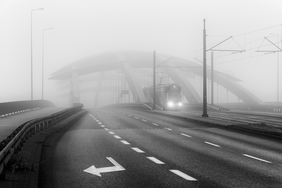 janish - . . Zdjęcie 280783