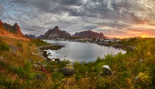 Reine