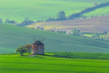 Wiosennie