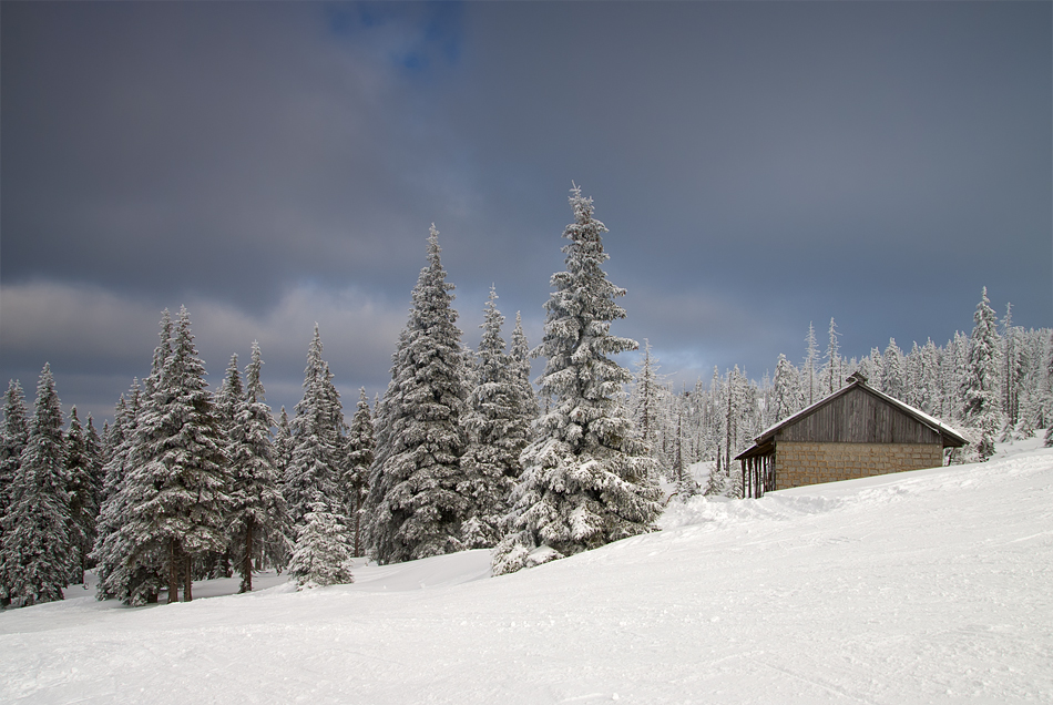 siwypz - *. . Zdjęcie 83599