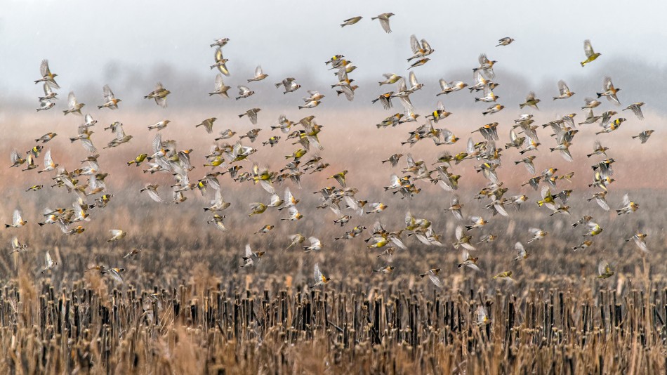 Bez tytułu . . Zdjęcie 337949