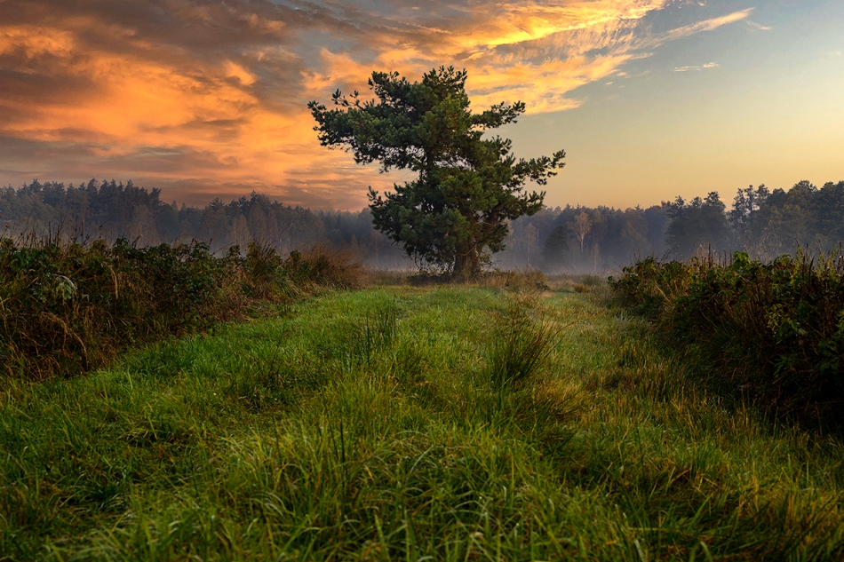 Stoodi - . . Zdjęcie 294164