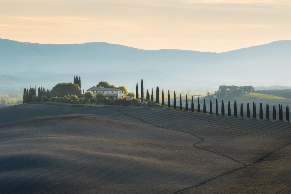 Złoty Świt. . Zdjęcie 338385