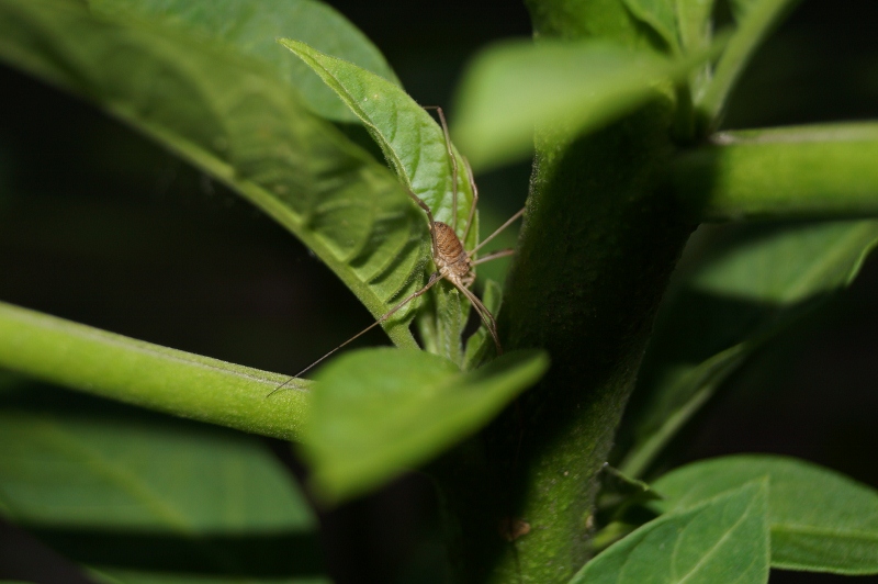 pozytywna28 - . Dopiero zaczynam, więc konkretne wskazówki mile widziane.. Zdjęcie 82846