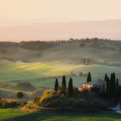 The Golden Glow of Tuscany