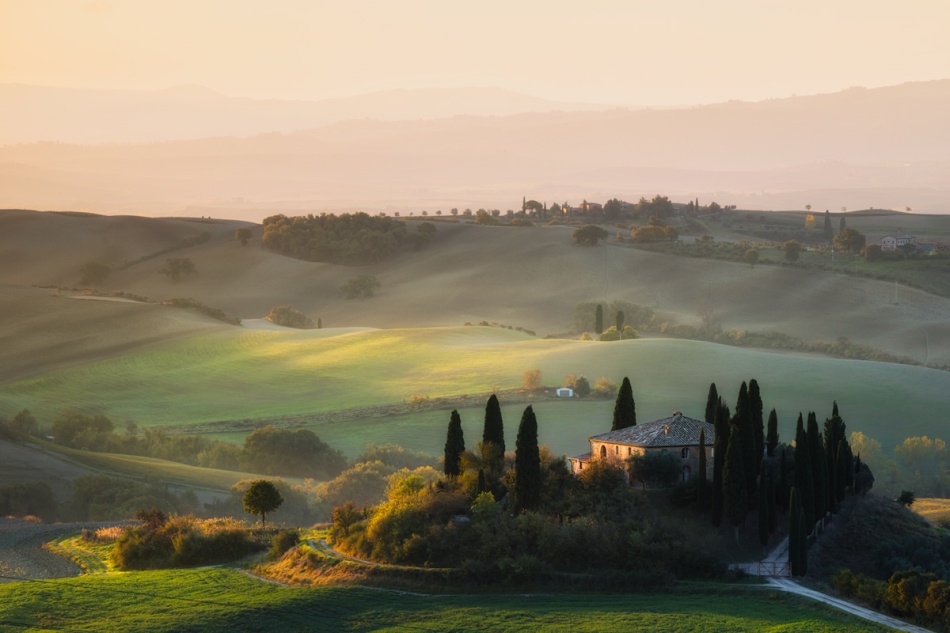 The Golden Glow of Tuscany. . Zdjęcie 337445