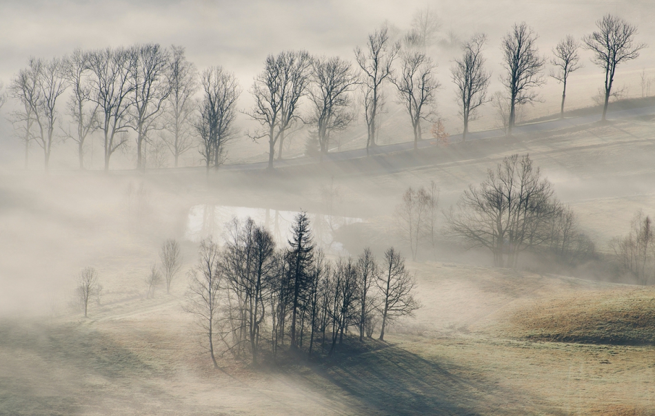 master95 - Rudawskie świtanie. . Zdjęcie 207314