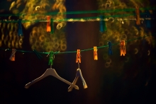 U sąsiada za płotem