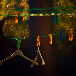 U sąsiada za płotem