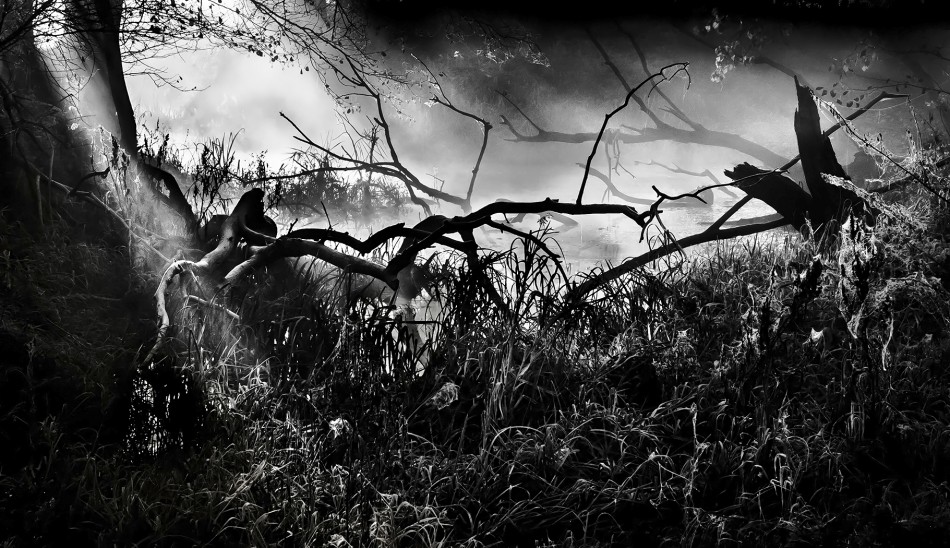 Smuga. Zapraszam na PE. Zdjęcie 337852