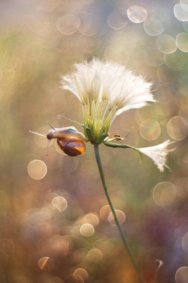 agnez - Trzymaj się mocno, już idę!. Jest PE. Zdjęcie 203452