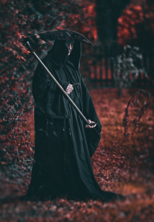 evene - . . Zdjęcie 206455