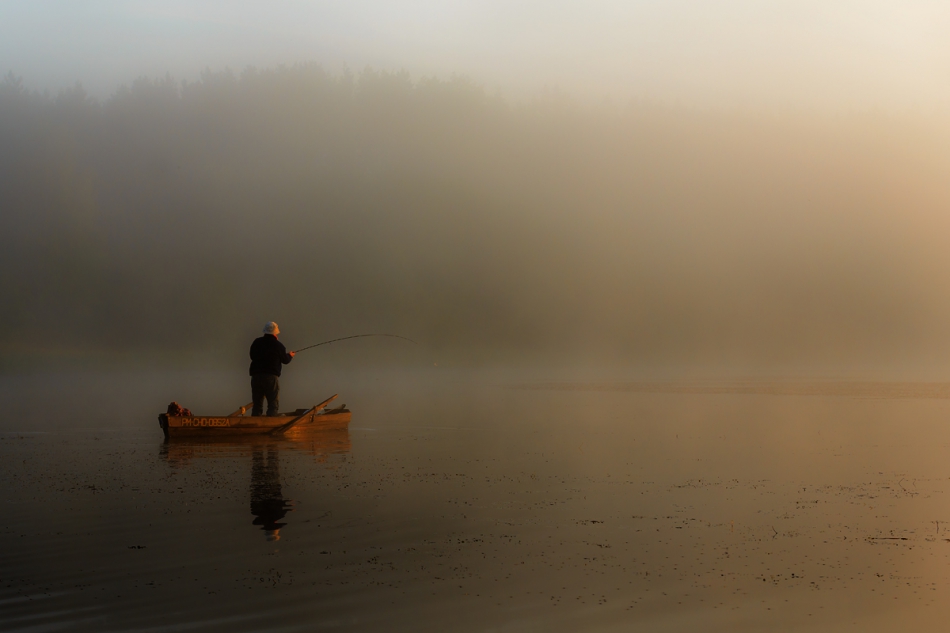 fotoel - +. . Zdjęcie 126119