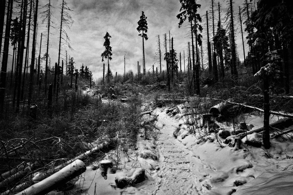 Zima. . Zdjęcie 339144