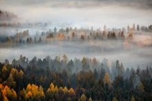 An Autumn's Tale...