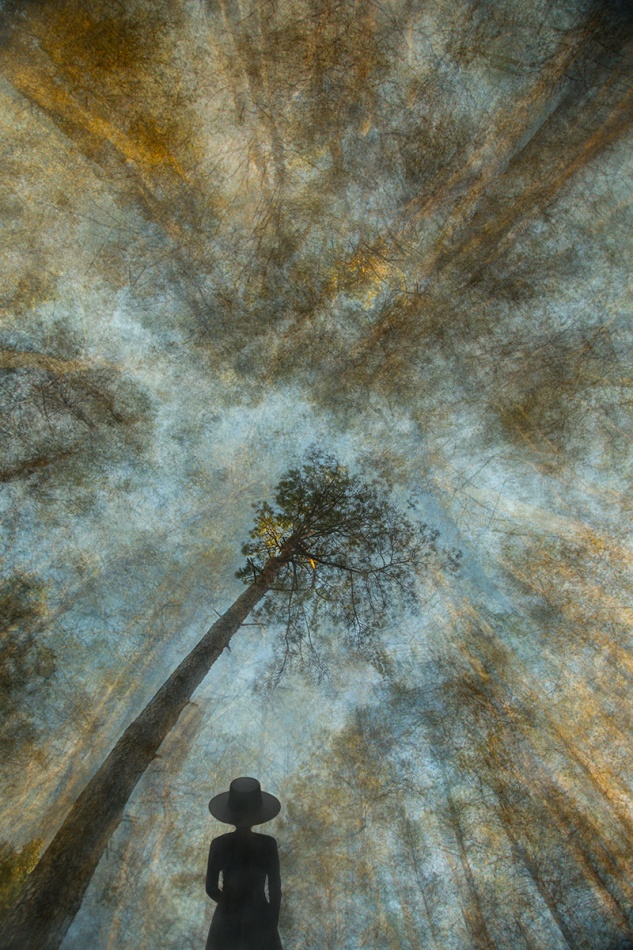 *. . Zdjęcie 337118