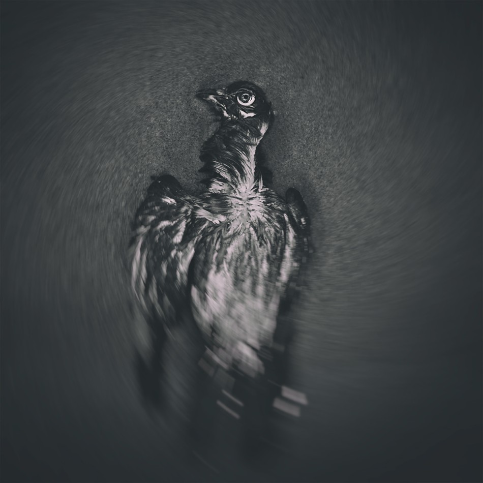 oko chaosu. . Zdjęcie 338398