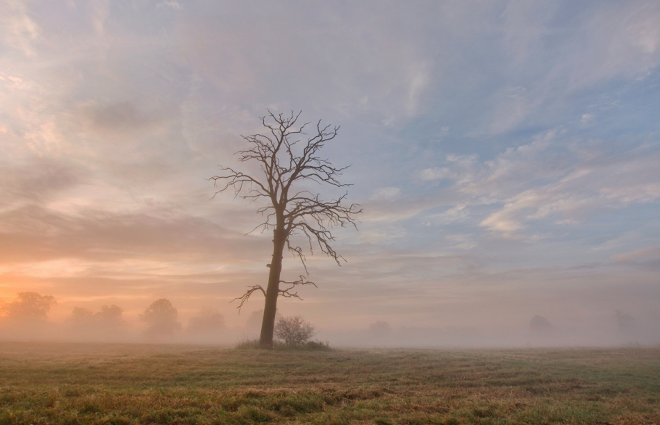 master95 - Ciepłe poranki. . Zdjęcie 217321