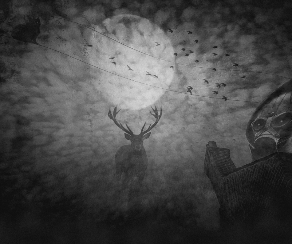 Ostatni koszmar nocy jutrzejeszej.... . Zdjęcie 314514