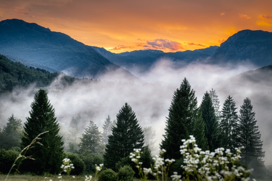 Alpy Julijskie. . Zdjęcie 336712