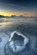 BLACK ICE