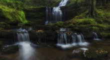 Scaleber Force