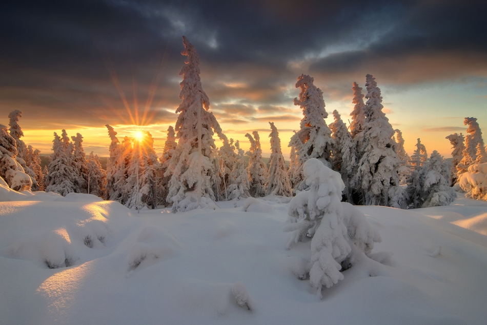 ostry - Świtanie. . Zdjęcie 80629