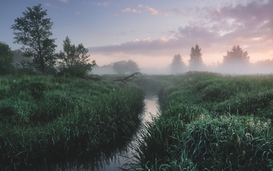 shooter76 - . . Zdjęcie 277689