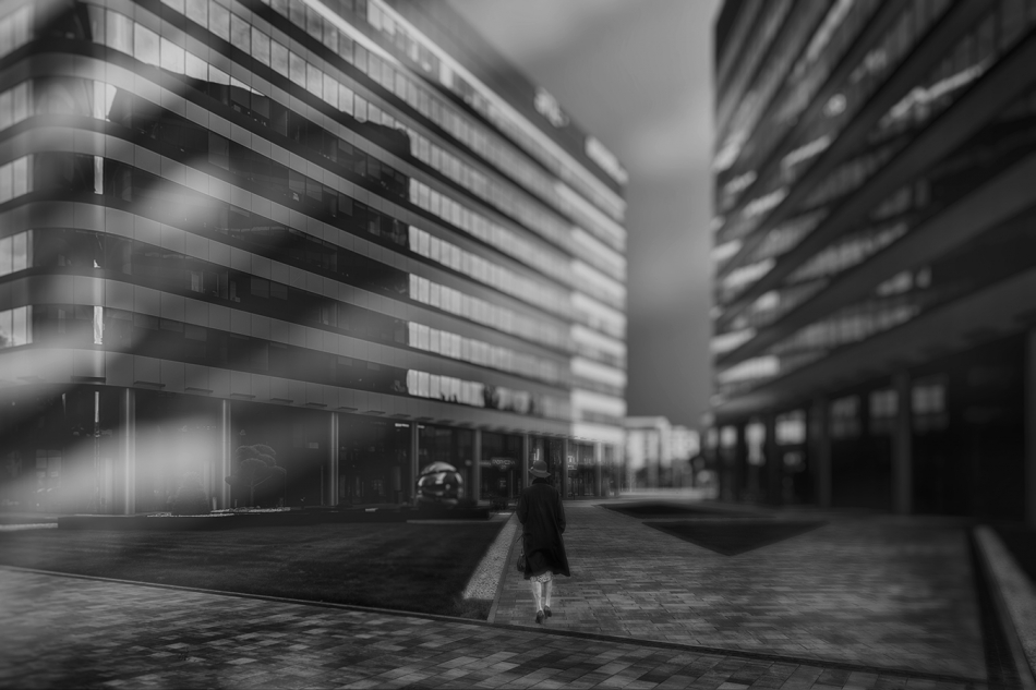 akrims - . . Zdjęcie 316764
