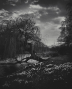 Green park