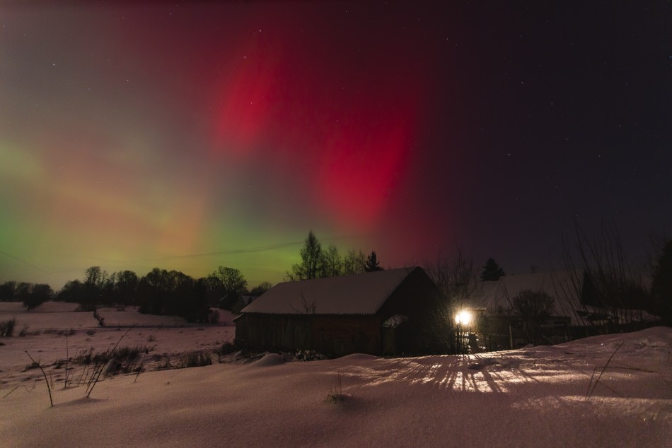 .... . Zdjęcie 338684