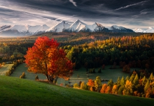 Tatry