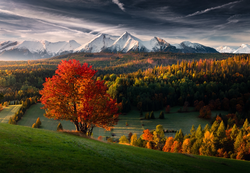karol_nienartowicz - Tatry. 10.2022. Zdjęcie 308490