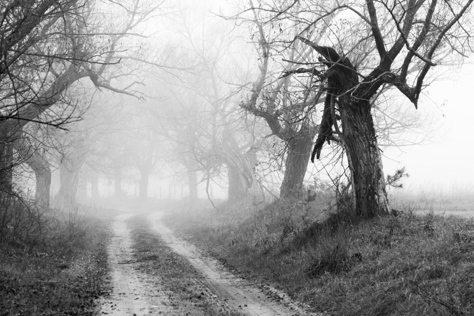 Brak tytułu. . Zdjęcie 278285