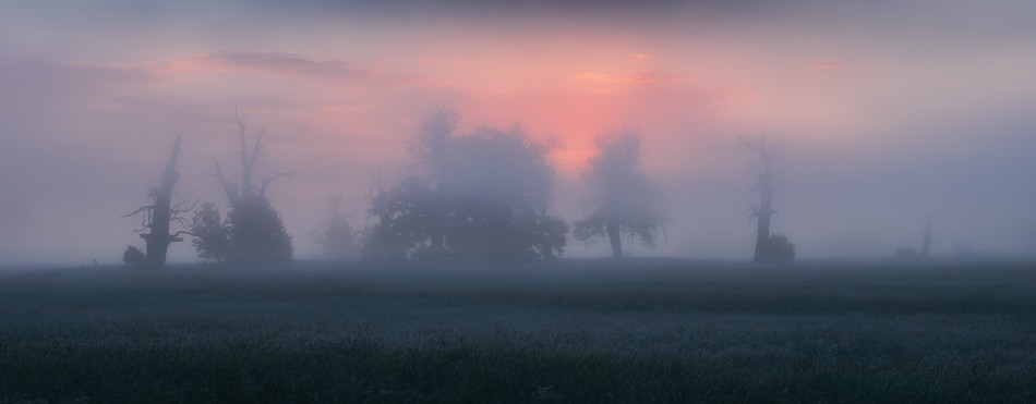 Rogalin. Panorama 9 pionów 70mm. Zdjęcie 340582