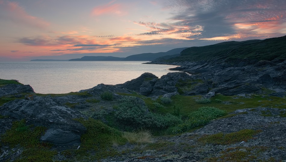 /\. . Zdjęcie 339986