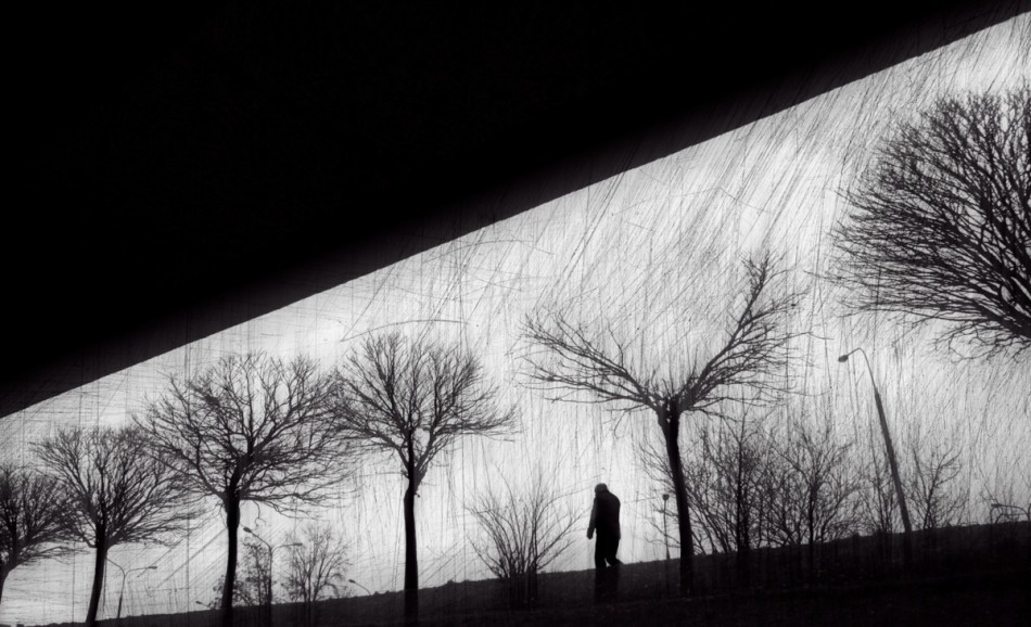 -. -. Zdjęcie 338570