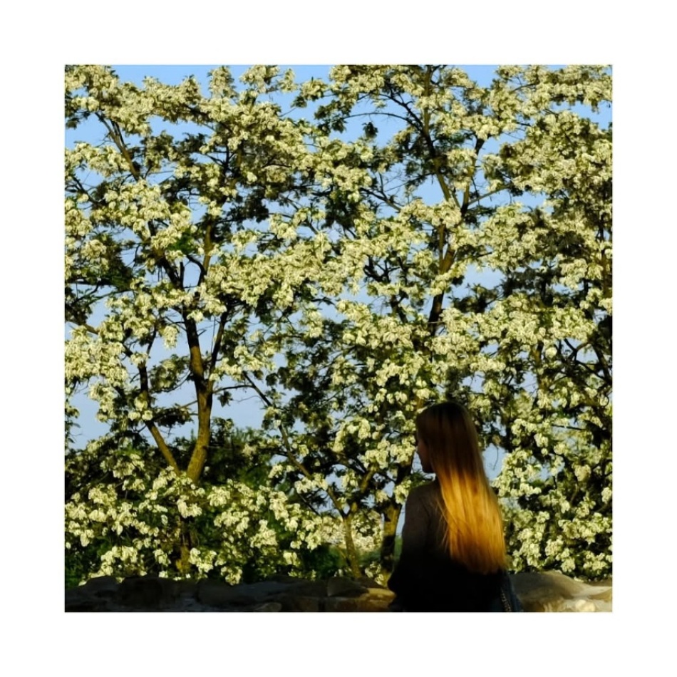 *. Any.. Zdjęcie 337071