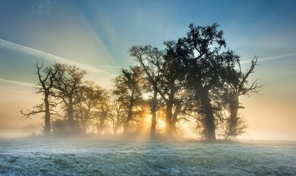 marian - Brak tytułu. . Zdjęcie 337736