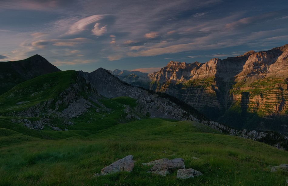 dilong - /\. . Zdjęcie 338586