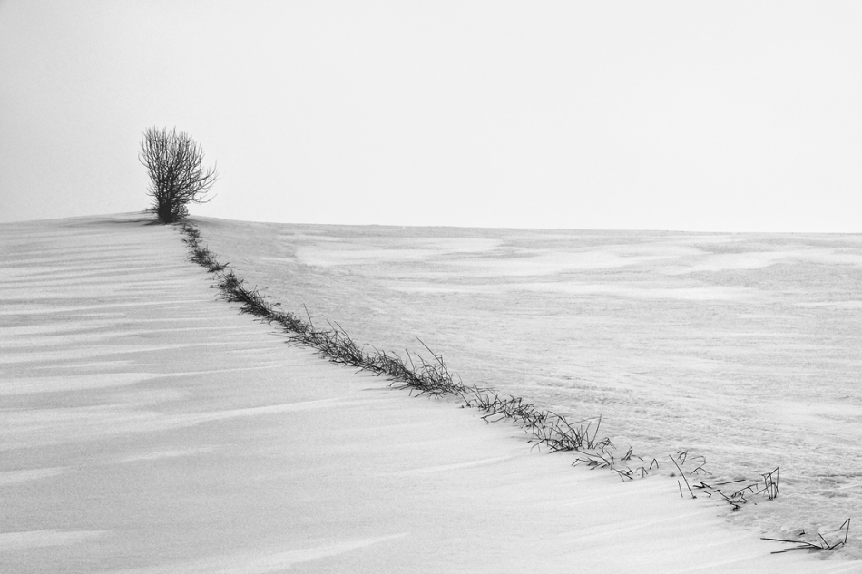 kuler - Miotła v.2 poprawiona. Z poprzedniej wersji zrobiłem B&W no i posprzątałem nieco. ;-) Może teraz? Zapraszam na PE.. Zdjęcie 73572