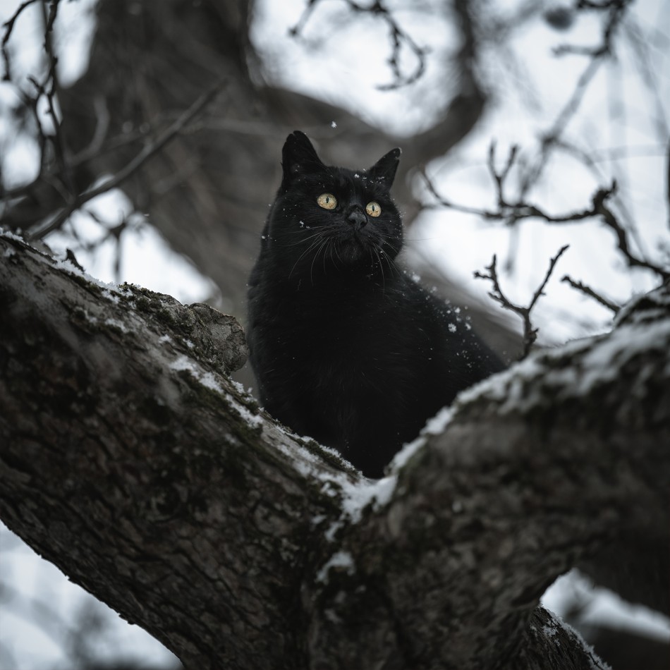 Cisza ma oczy.. . Zdjęcie 339104