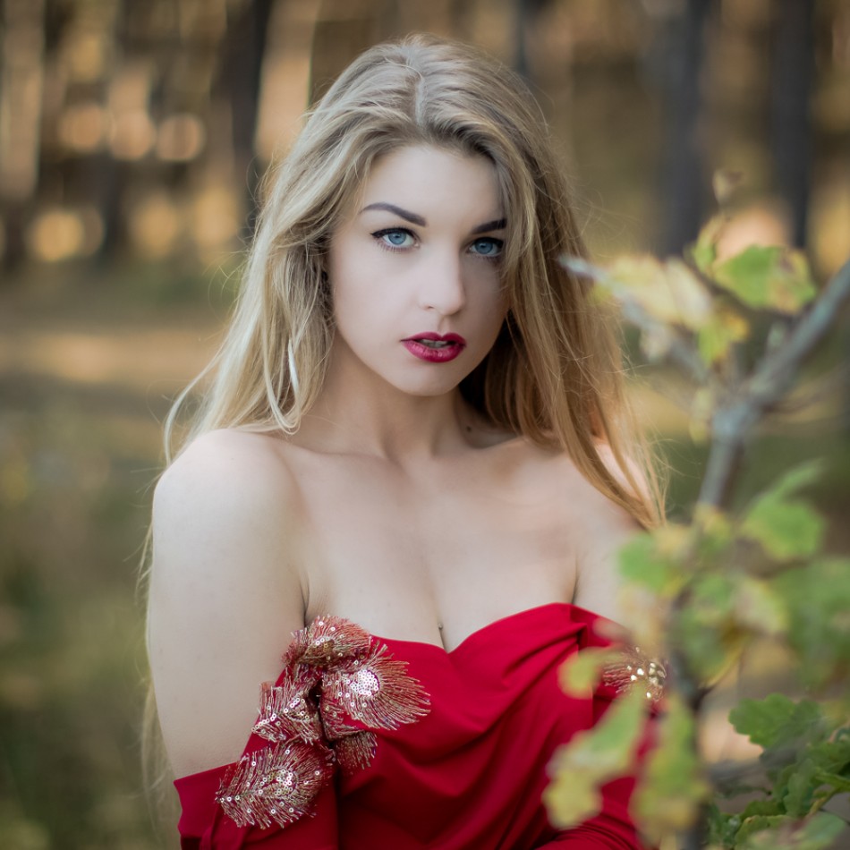 acrux - Seria. . Zdjęcie 337818